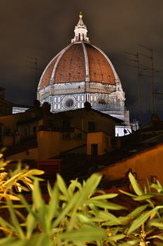 Art And Luxury Firenze